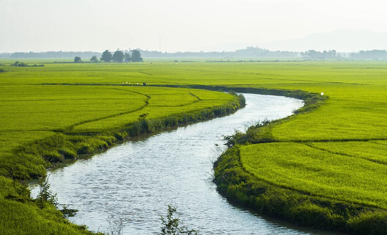 Về thương những tháng Giêng về